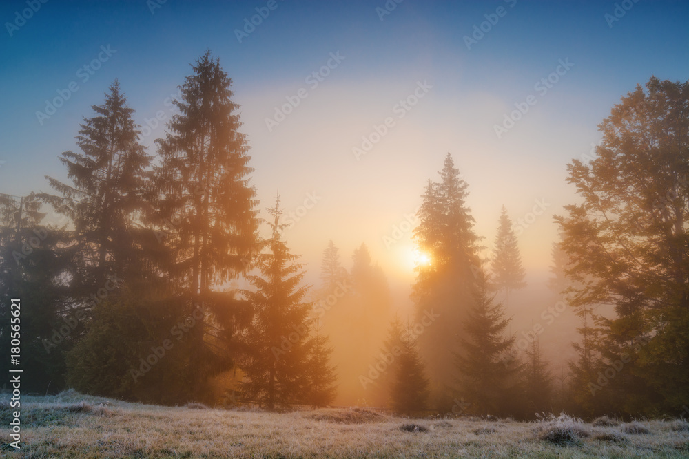 Majestic colorful sunrise with beautiful red light Majestic colorful sunrise with beautiful red light