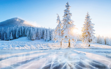 Blue ice and cracks on the surface of the ice. Frozen lake under a blue sky in the winter. Beautiful dawn, rays of the sun through the branches. Carpathian, Ukraine, Europe
