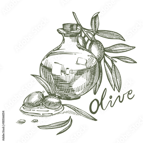 A branch of ripe olives is juicy poured with oil. Farmers market menu design. Organic food poster. Vintage hand drawn sketch vector illustration. Linear graphic.
