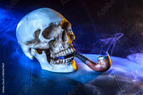 The damage of tobacco to hu...
