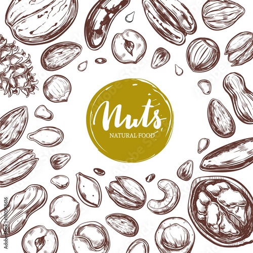 Nuts and seeds frame. Vector Hand drawn objects . Isolated on white. Modern brushpen Calligraphy. Design Template