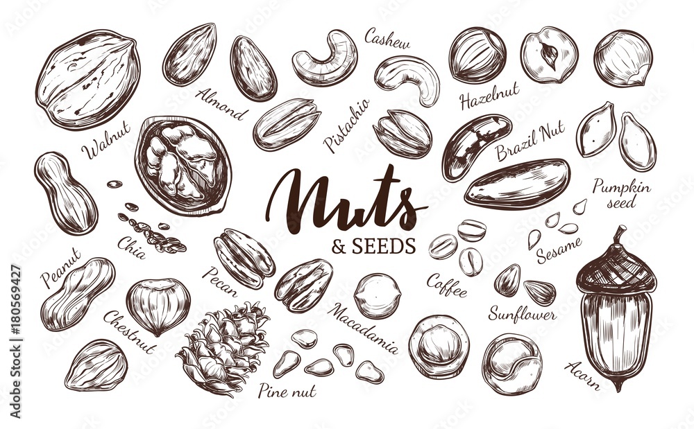 Nuts and seeds collection.4