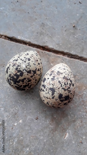 An Doted Eggs