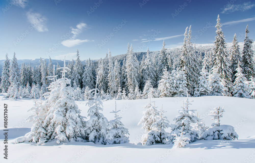 Fantastic winter landscape. Magic sunset in the mountains a frosty day. On the eve of the holiday. The dramatic scene. Carpathian, Ukraine, Europe. Happy New Year Fantastic winter landscape. Magic sunset in the mountains a frosty day. On the eve of the holiday. The dramatic scene. Carpathian, Ukraine, Europe. Happy New Year