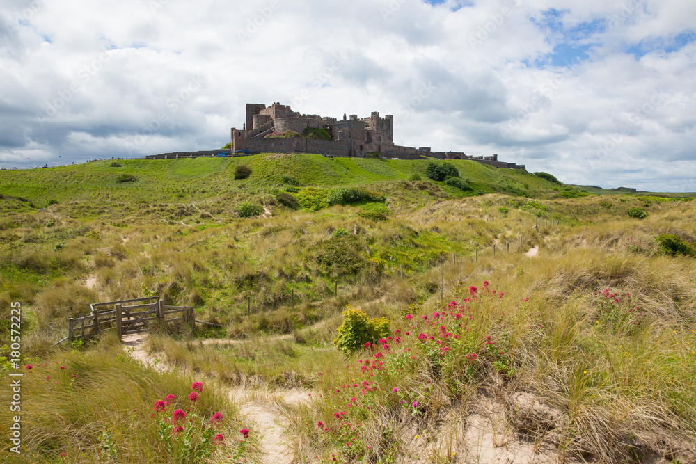 Bamburgh Castle Northumberland north east England UK with red flowers