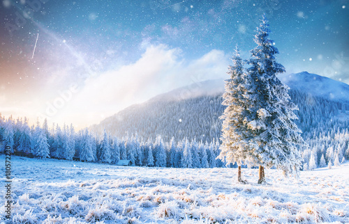 Mysterious winter landscape majestic mountains in winter. Magical winter snow covered tree. Photo greeting card. Bokeh light effect, soft filter.