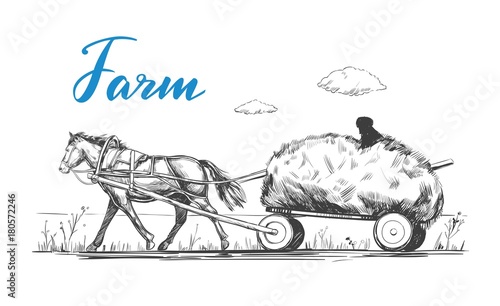 The vehicle with a horse and hay in sketch style. Farm landscape. Countryside. Farm food concept . Vector hand drawn illustration