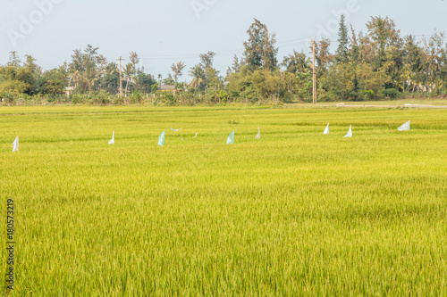 Hoi-An Vietnam photo