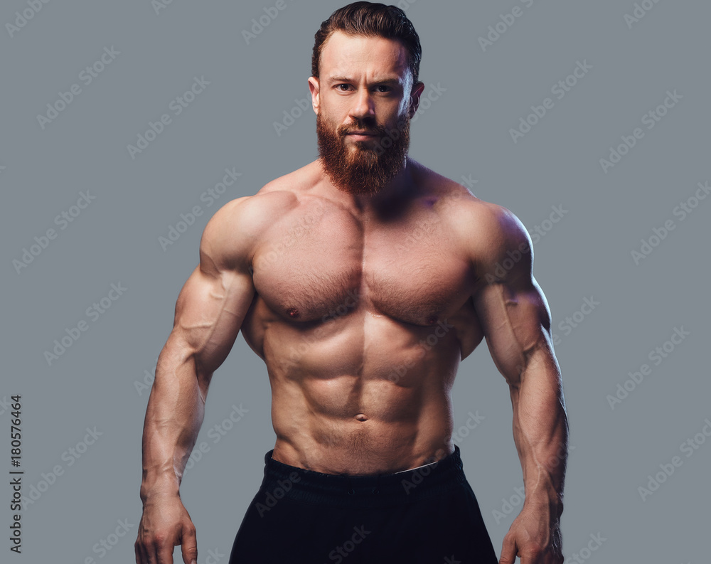 Fototapeta premium Portrait of bearded shirtless bodybuilder.