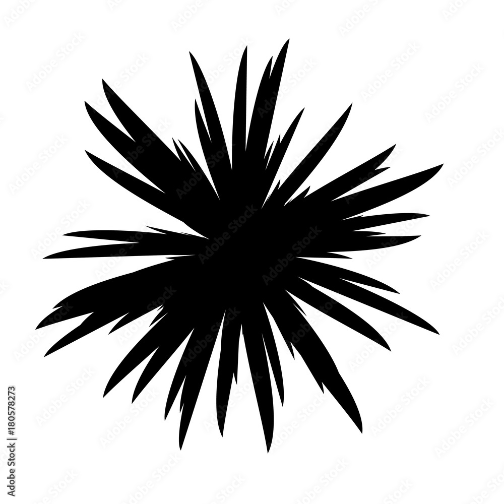 Black and White Flowers Silhouette Black and White Flowers Silhouette