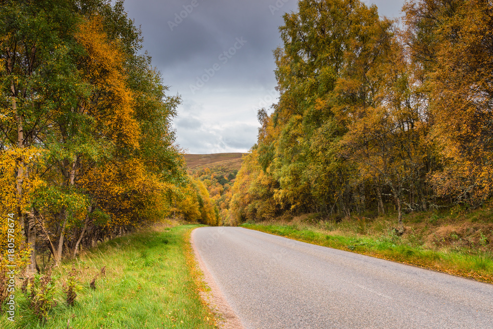 Fototapeta premium Autumn along the Snow Road / The Snow Road or Old Military Road is a scenic drive through the Cairngorms National Park, which is full of colour in the autumn