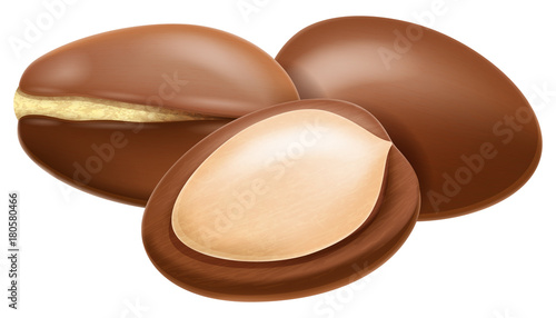 Argan nut whole and half split. Realistic vector illustration.