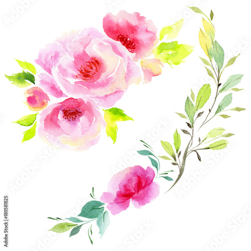 Wildflower eustoma flower in a watercolor style isolated. Full name of the plant  eustoma  marigolds  tagetes. Aquarelle wild flower for background  texture  wrapper pattern  frame or border.
