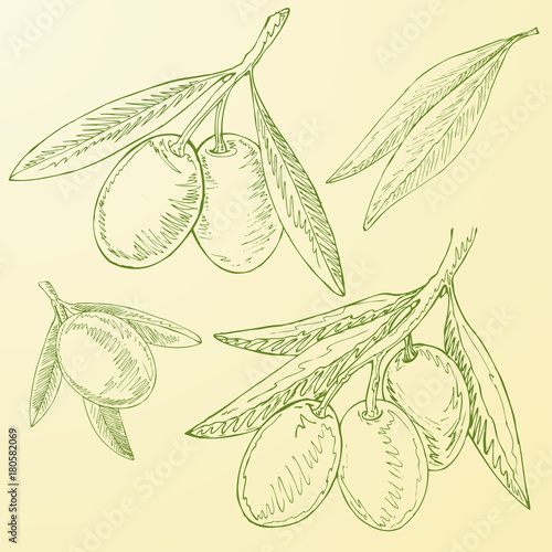 Olive sketch element collection