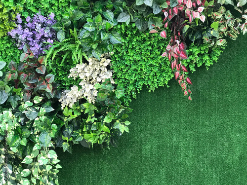 Beautiful artificial plant wall background