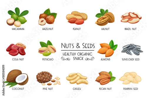 Set vector icons nuts and seeds.