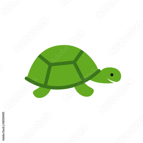 Turtle Vector Icon