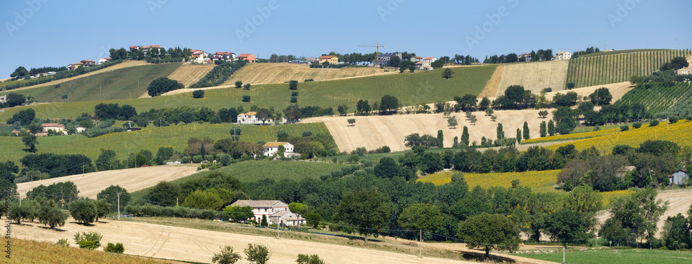 Rural landscape near Recanati (Italy)