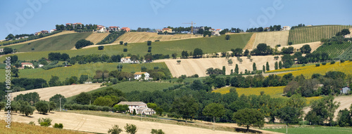 Rural landscape near Recanati  Italy 