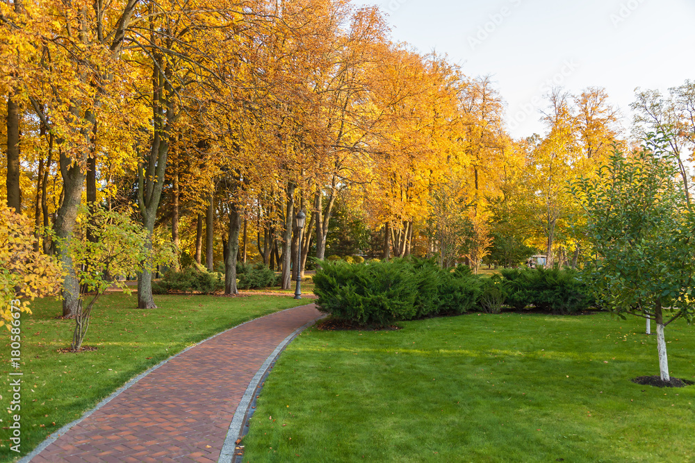 Fototapeta premium beautiful autumn park at sunny weather. a footpath in an autumn park