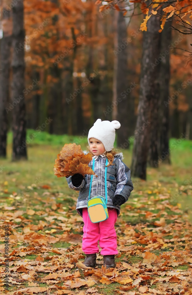 Baby girl gathering oak leaves in the autumn forest. Candid portrait, full size Baby girl gathering oak leaves in the autumn forest. Candid portrait, full size