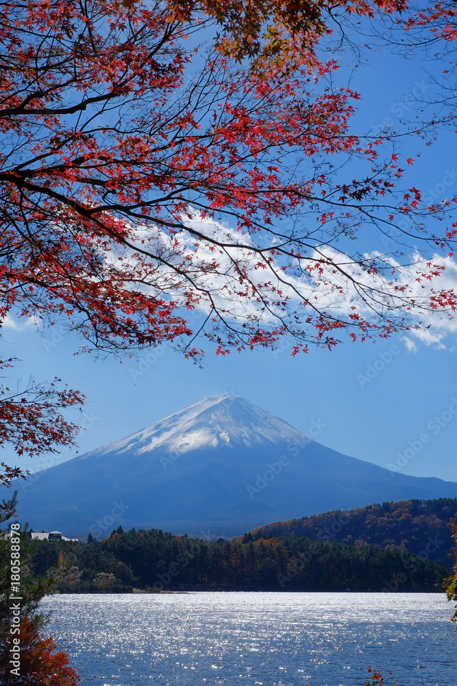世界遺産　富士山の秋