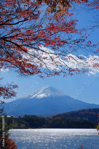 世界遺産　富士山の秋 © tatsuya