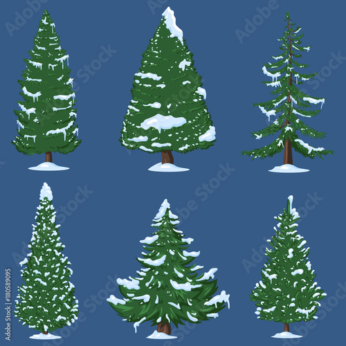 Vector Set of Winter Cartoon Pine Trees