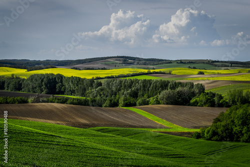 Rural landscape in summer, Hungary. Panoramic view of country fields, hills in background.