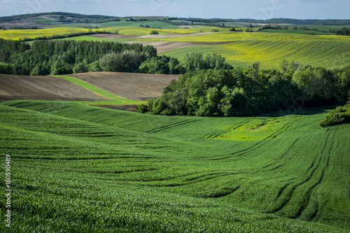 Rural landscape in summer  Hungary. Panoramic view of country fields  hills in background.