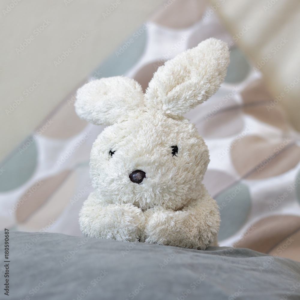 Lapin blanc Lapin blanc