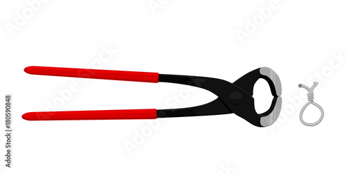 Isolated pincers on transparent background
