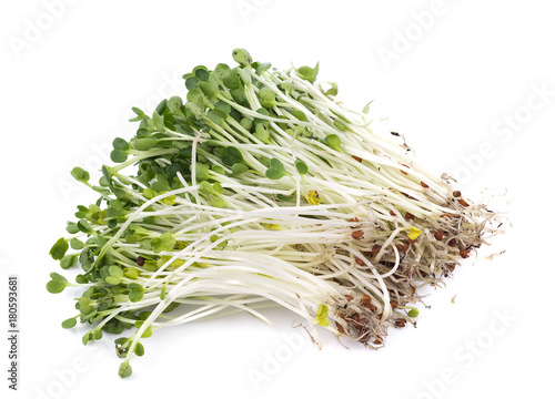 kaiware sprout, japanese vegetable or watercress on white background