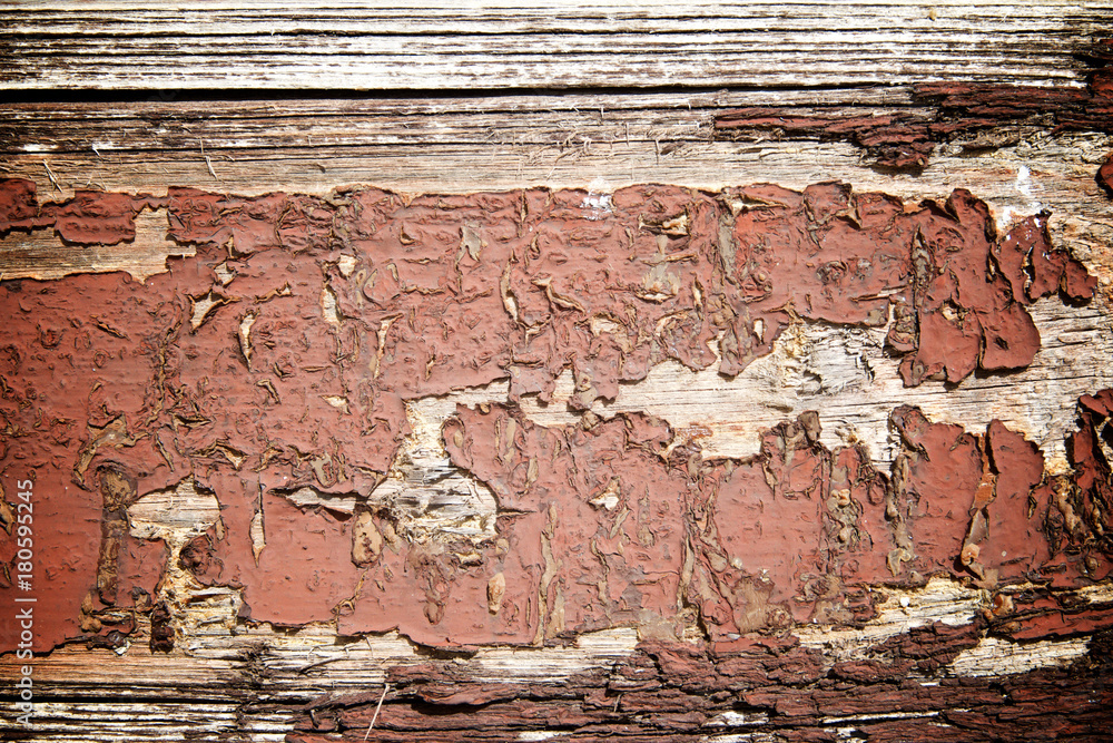 Obraz premium Wood background view