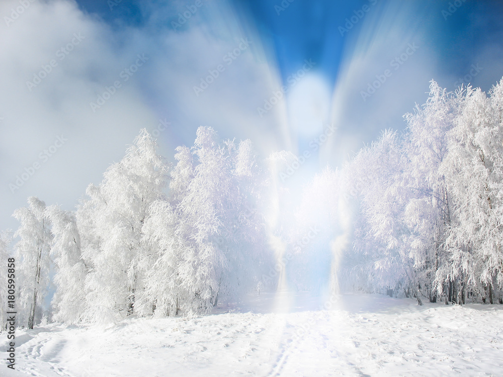 Beautiful winter landscape with an abstract angel in nature, the spirit of Christmas Beautiful winter landscape with an abstract angel in nature, the spirit of Christmas