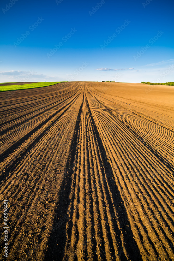 Fototapeta premium Agricultural landscape, arable crop field. Arable land is the land under temporary agricultural crops capable of being ploughed and used to grow crops.