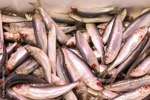 Fresh sardines at the market