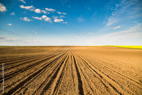 Agricultural landscape  arable crop field. Arable land is the land under temporary agricultural crops capable of being ploughed and used to grow crops.
