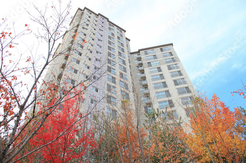 단풍나무 사이로 아파트 전경