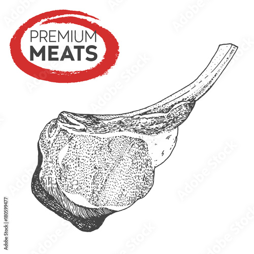 Meat hand drawn vector illustration. Veal rib illustration. Design sketch element.