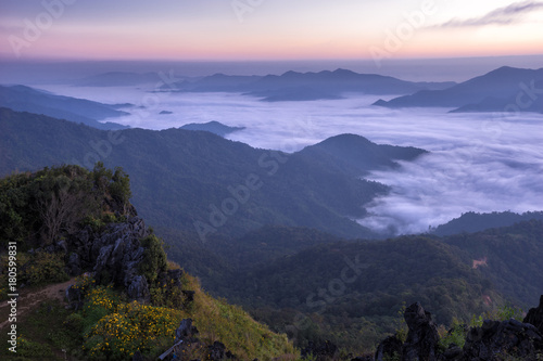 The beautiful landscape for seeing the mist at Doi Pha Tang, Chaingrai province is a famous tourist destination in northern Thailand.