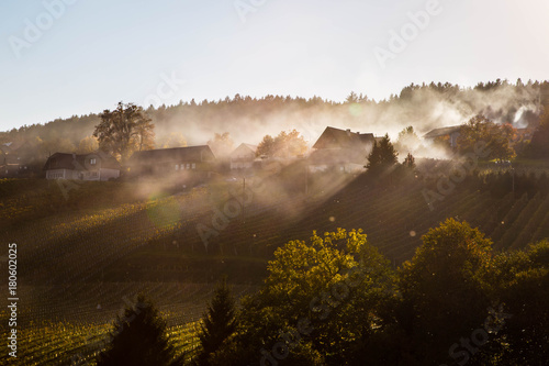 wunderschöne Weinberge der Weststeiermark im Herbst mit Nebelschwaden der Maronibrater photo