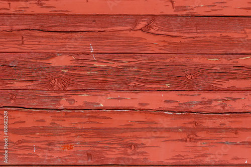 textura madera coso taurino