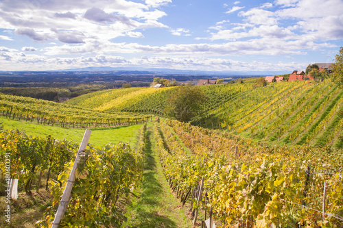 steirische Weinberge im Herbst