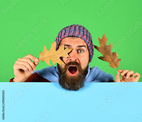 Hipster with beard and shocked face closes eyes with leaf