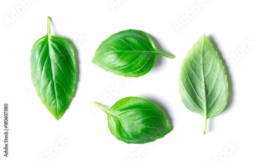 Green basil leaves