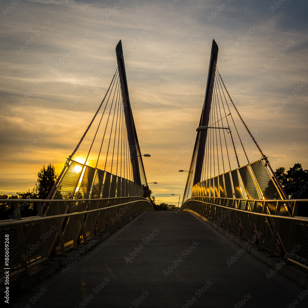 Fototapeta premium Delta Ponds Bridge 2