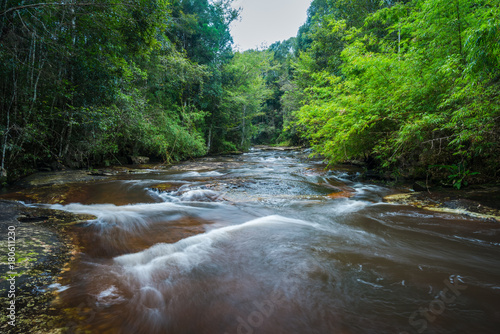 Fototapeta Naklejka Na Ścianę i Meble -  River in the tropical rainforest landscape