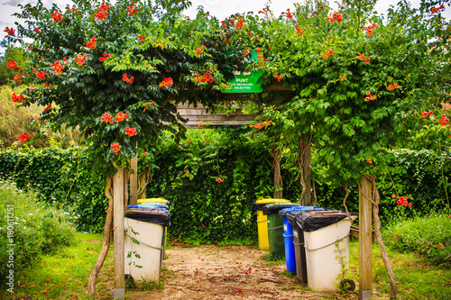 Obraz na plátně Trash cans for separate collection of garbage in park in summer