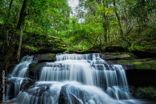 Fototapeta Naklejka Na Ścianę i Meble -  Waterfall with green moss in the tropical rainforest landscape